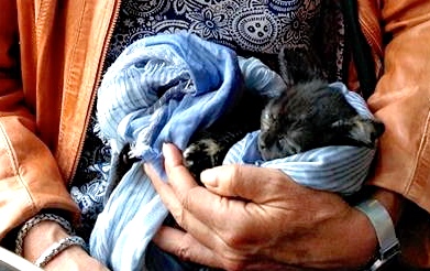 Sara and Bijou May 12, 2015.jpg